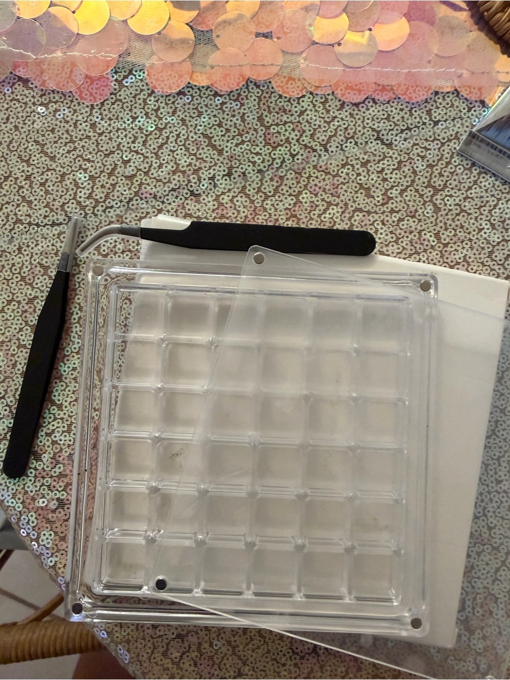 Clear Plastic Compartment Small Treasures Organizer